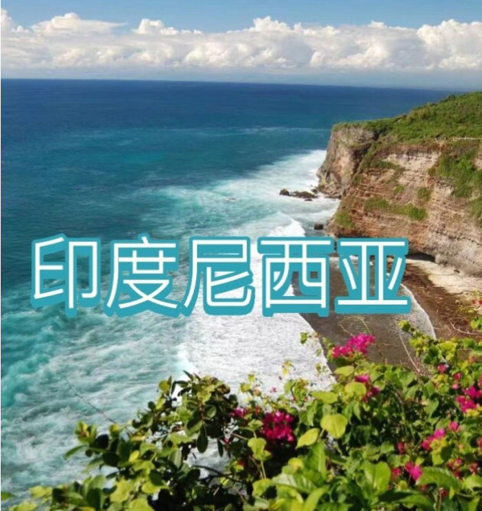 国国际电商(印尼)产业博览会不朽情缘游戏平台2025中(图1)